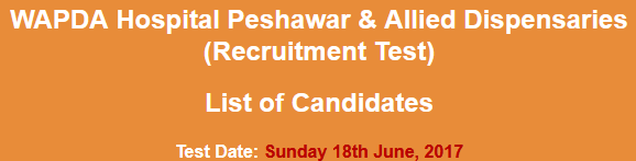 WAPDA Hospital Peshawar Jobs NTS Test Result 2024 18th June Check Online