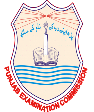 PEC 8th Class Roll No Slips 2023 Download Free All Punjab Districts
