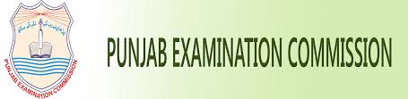 PEC Vehari 5th Class Result 2023 Check Online By Roll No, Name