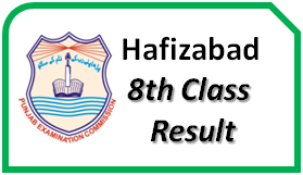 Hafizabad 8th Class Result 2023 pec.edu.pk Check Online School Wise