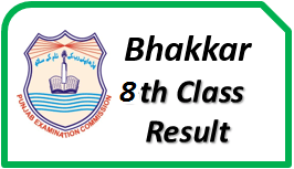 PEC Bhakkar 8th Class Result 2023 District Download Gazette By Name