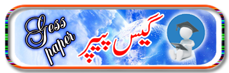 1st Year, 2nd Year Urdu Guess Paper 2023 Karachi Board Important Questions