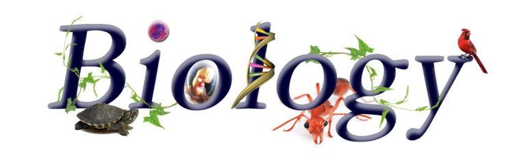 2nd Year Biology Guess Paper 2023 12th Class Lahore Board Important Questions