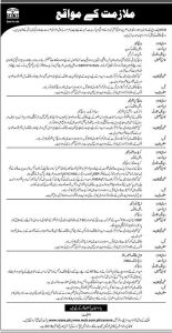 Muslim Commercial Bank Jobs 2023 MCB Branch Manager Online Form Apply
