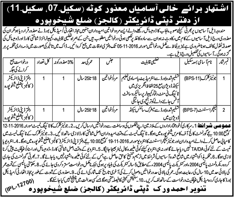 Disabled Person Jobs 2024 For Male, Female In Punjab Advertisements Form