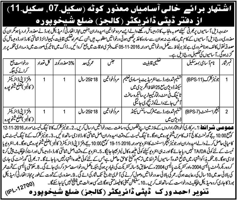 Disabled Person Jobs 2023 For Male, Female In Punjab Advertisements Form