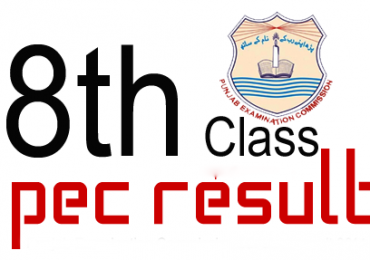 Enter Roll No Check Result 8th Class 2023