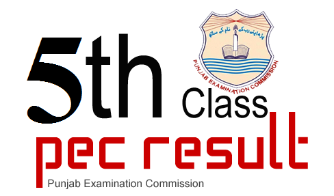PEC 5th Class Result 2023 Online Gazette Download PDF All Punjab