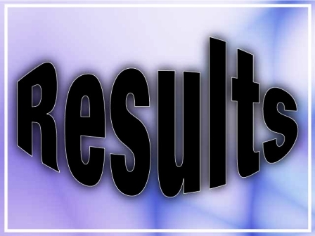 Punjab Examination Commission 5th Class Result 2023 Download PDF