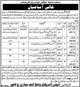 How to Apply Punjab Wildlife And Parks Department Jobs 2024 Application Form