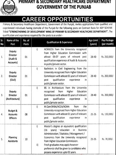 Primary and Secondary Jobs Advertisement: