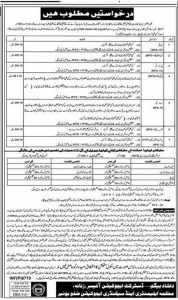 Elemetary and Secondary Education Department Jobs 2023 Malakand, SWAT, Bannu Application Form