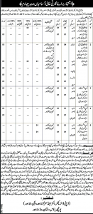Mines and Mineral Department Lahore Punjab Jobs 2023 Interview Date November Advertisement