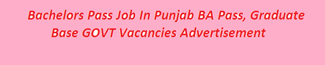 Bachelors Pass Job In Punjab 2023 BA Pass, Graduate Base GOVT Vacancies Advertisement