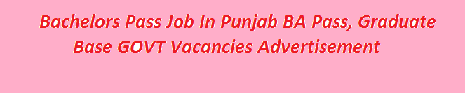 Bachelors Pass Job In Punjab 2024 BA Pass, Graduate Base GOVT Vacancies Advertisement