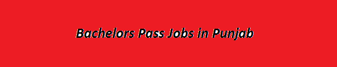 Bachelors Pass Jobs in Punjab 2023 graduate Base GOVT Vacancies Application