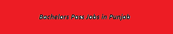 Bachelors Pass Jobs in Punjab 2024 graduate Base GOVT Vacancies Application