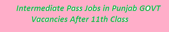 Intermediate Pass Jobs in Punjab 2023 GOVT Vacancies After 11th Class