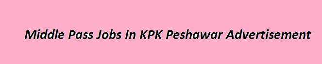 Middle Pass Jobs In KPK Peshawar 2024 Advertisement How to Apply