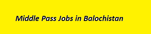 Middle Pass Jobs in Balochistan 2023 Quetta Jang Newspaper Advertisements