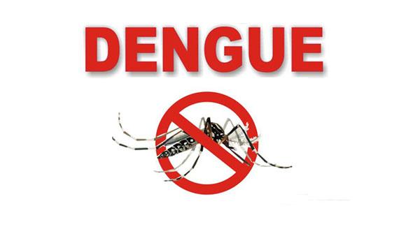 Dengue Spray Helpline Number Free 2023 in Lahore, Islamabad, Faisalabad Punjab Complaint Number