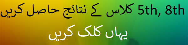 PEC 5th, 8th Class Result 2023 All Boards Download Online