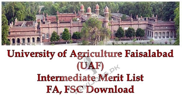 UAF Faisalabad Merit List 2023 Intermediate Online 1st, 2nd, 3rd