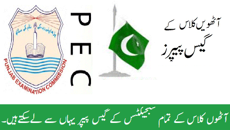 8th Class Guess Paper 2023 PEC Download English, Urdu Medium