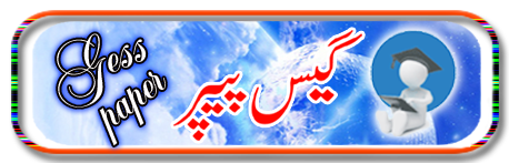 10th Class Physics Guess Paper 2023 BISE Online Urdu, English Medium
