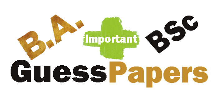 BA English Guess Paper 2024 Punjab University PU Download Online