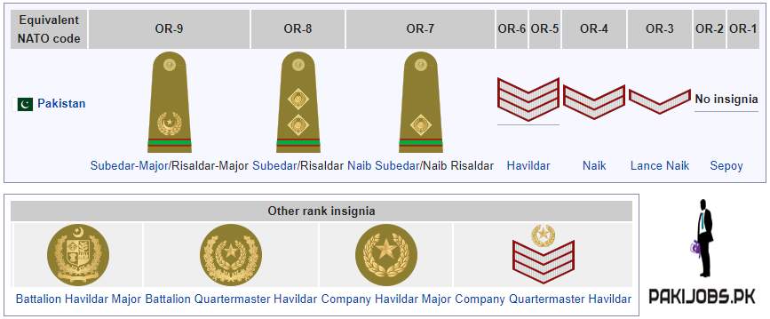 Non Officer Rank Non-Commissioned Officer
