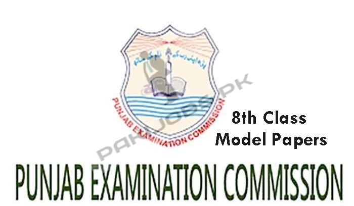 PEC 8th Class Model Papers 2023 Download English, Urdu Medium Free