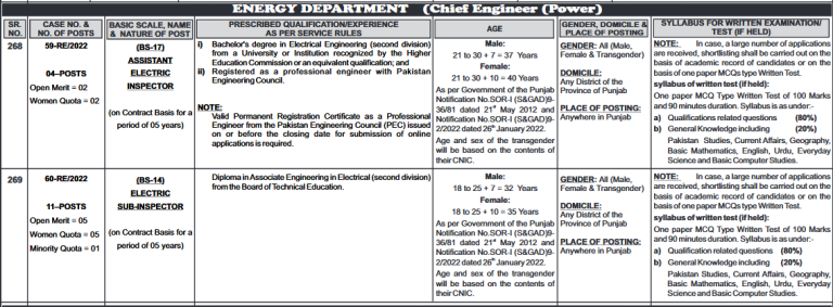 Punjab Energy Department Jobs 2024 Form Download Online