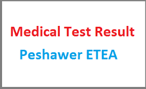 ETEA Medical Entry Test Result 2023 By Name, Roll No