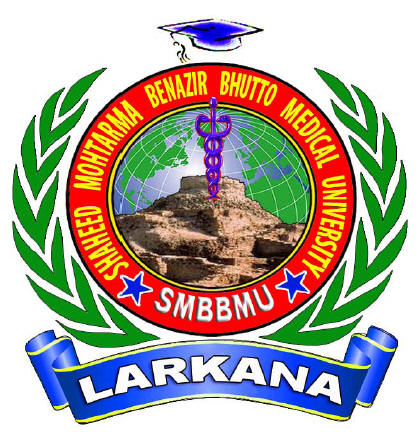 Shaheed Mohtarma Benazir Bhutto Medical University Larkana NTS Admission Test Result 2023 18 October