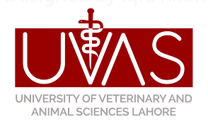 University of Veterinary and Animal Sciences Livestock Assistant Diploma Admission 2024