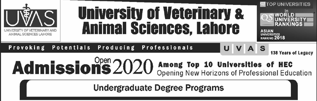 UVAS Ravi Campus, Pattoki Merit List 2023 1st, 2nd Morning Evening