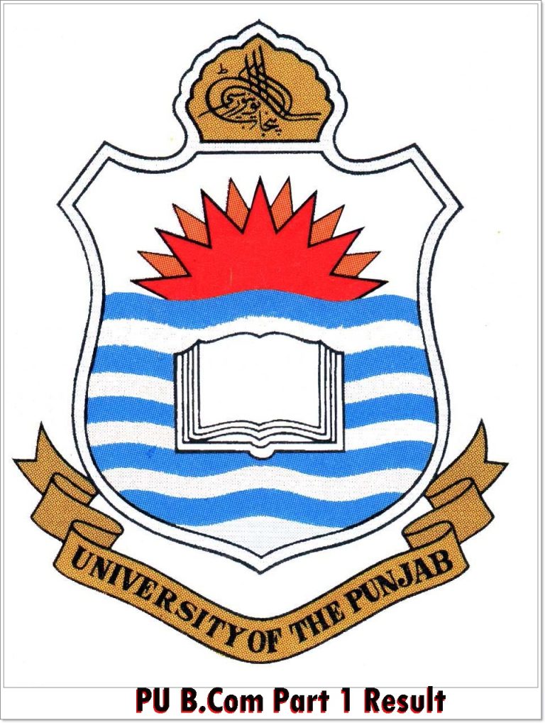 PU B.Com Part 1 Result 2024-2020 Punjab University Online