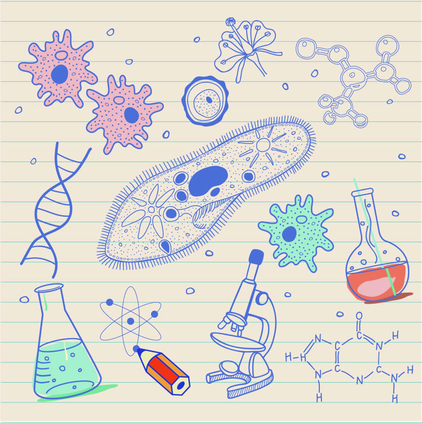 Important Practicals Of Biology Class 10th, 9th 2023 List In English, Urdu