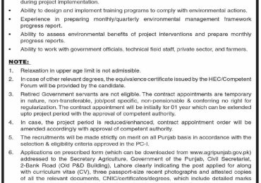 Punjab Agriculture Department Jobs 2024