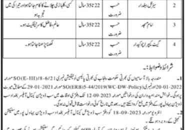 Punjab Irrigation Department Jobs 2024